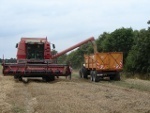 la moisson